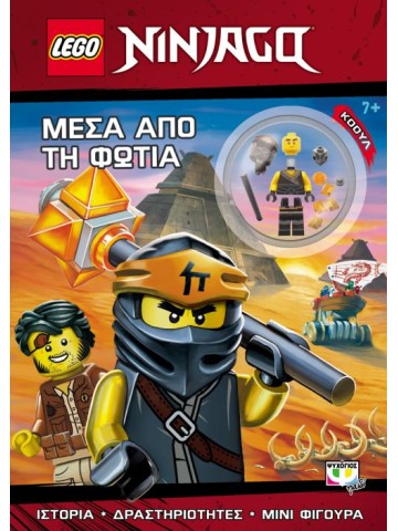 2045213087