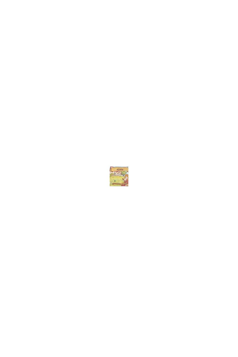 540577556