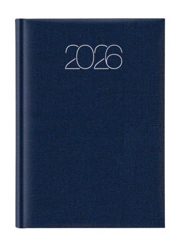 19528071